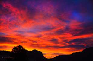 Zion Sunrise-4065.jpg